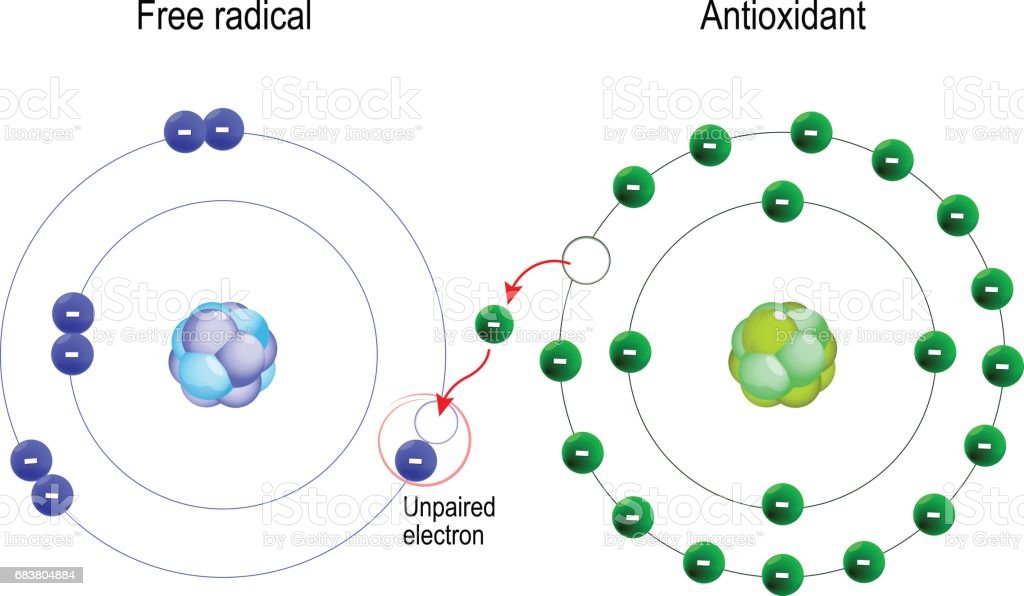 Fakta Tentang Air Alkali