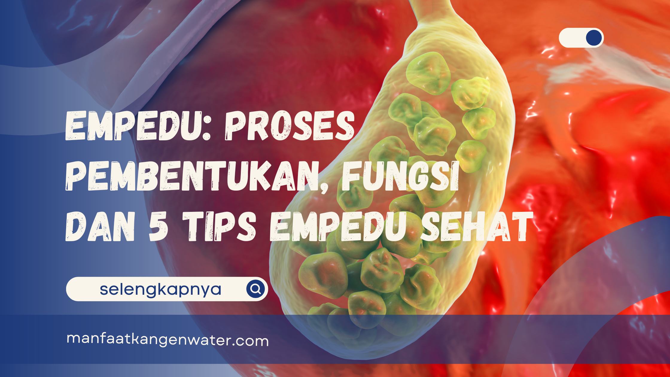 Tips Empedu Sehat